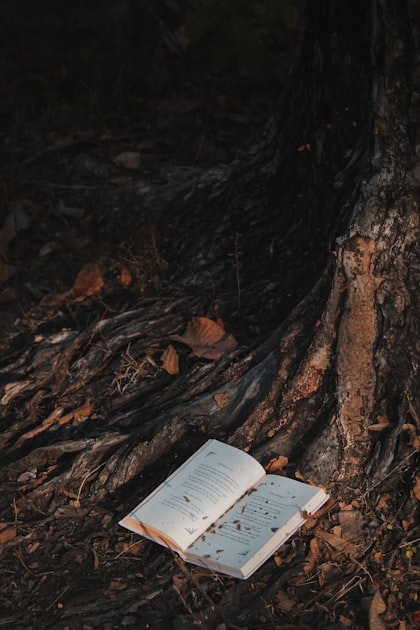 The Importance of Story Time